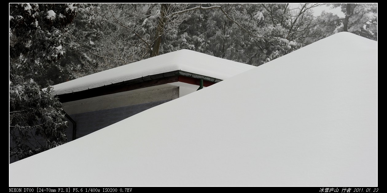 DSC_8741.jpg
