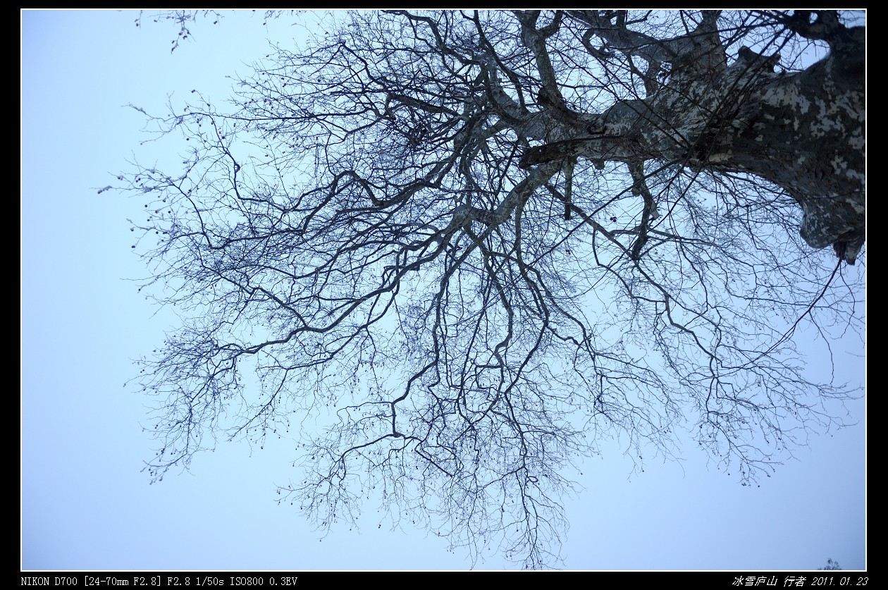 DSC_8850.jpg