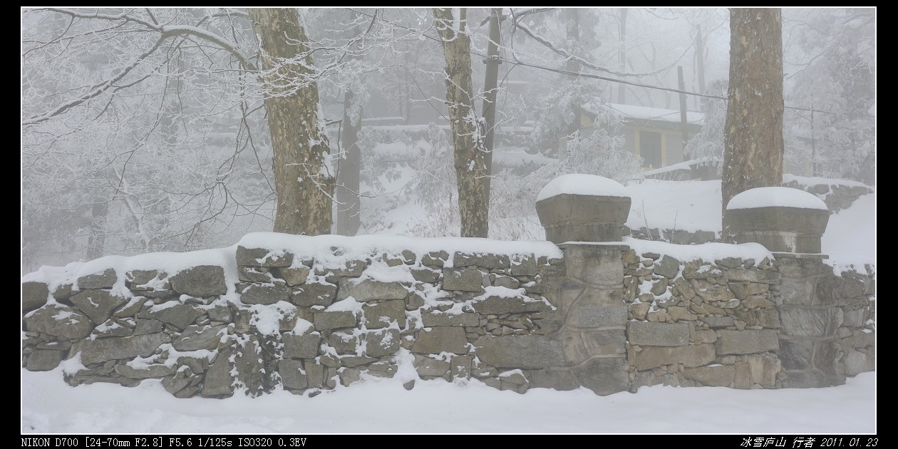 DSC_8882.jpg