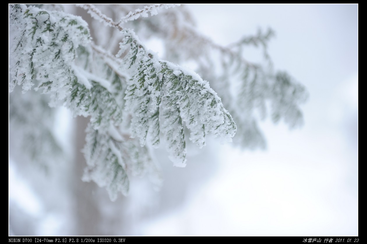 DSC_8871.jpg