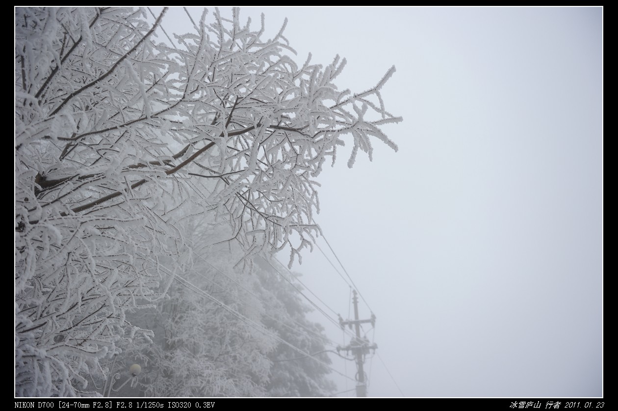 DSC_8876.jpg
