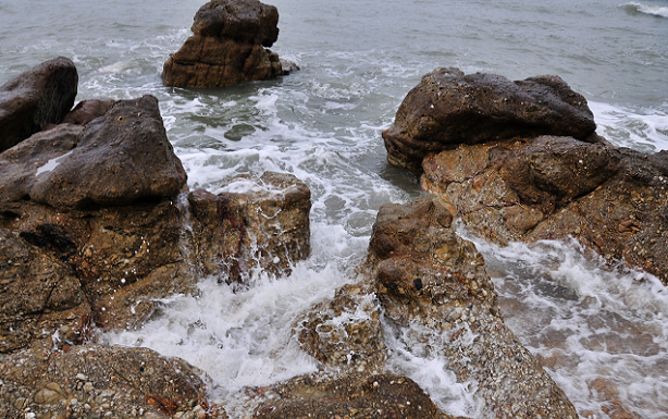 _DSC0149.jpg
