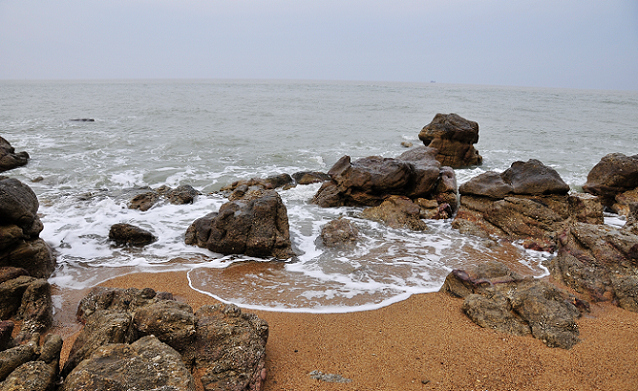 _DSC0154.jpg