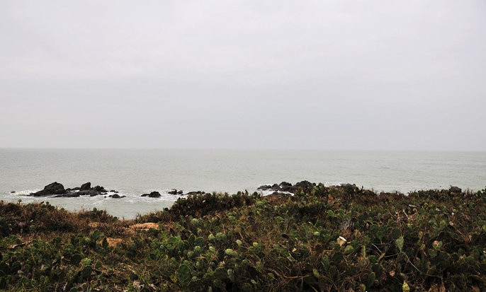 _DSC0184.jpg