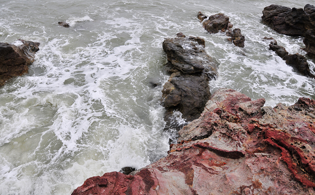 _DSC0207.jpg