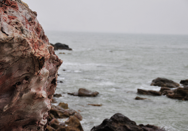 _DSC0218.jpg