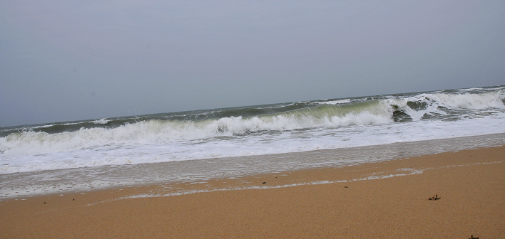_DSC0300.jpg