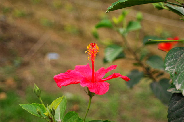 DSC_0048.jpg