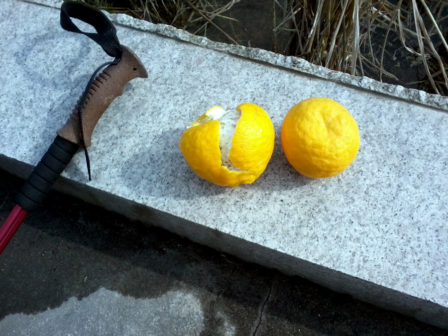 ��Ƭ0659.jpg