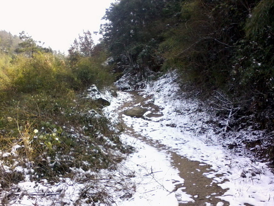 ��Ƭ0689.jpg