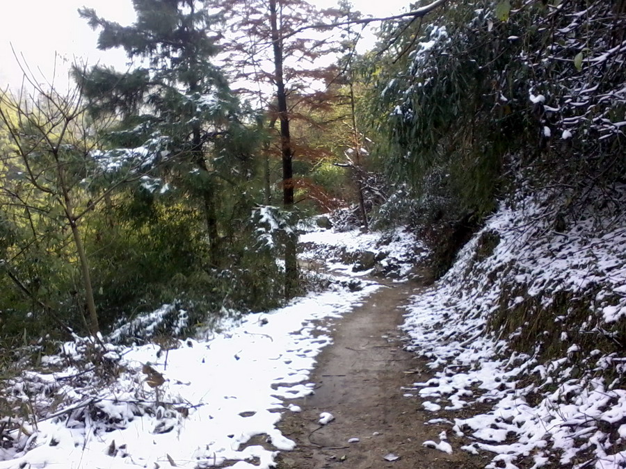 ��Ƭ0693.jpg