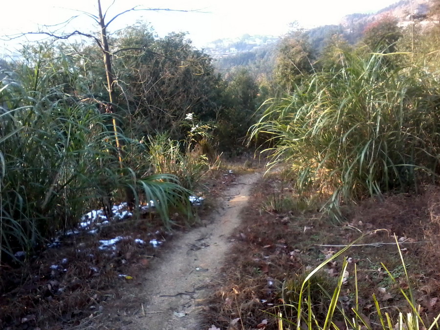 ��Ƭ0747.jpg