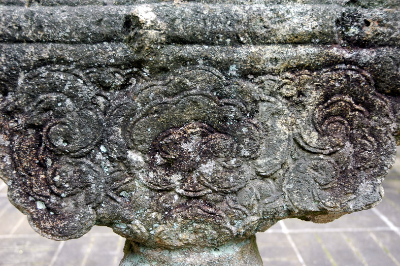 DSC_4466.jpg