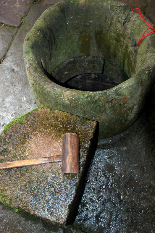 DSC_4476.jpg