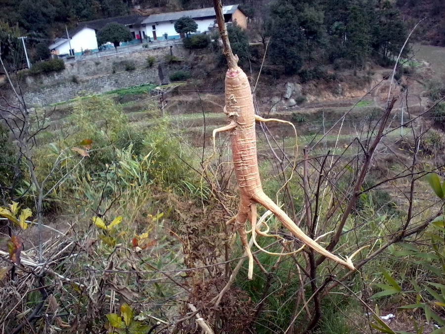 ��Ƭ0788.jpg