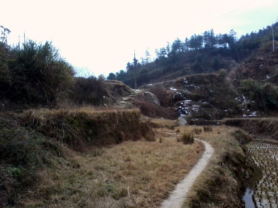 ��Ƭ0799.jpg