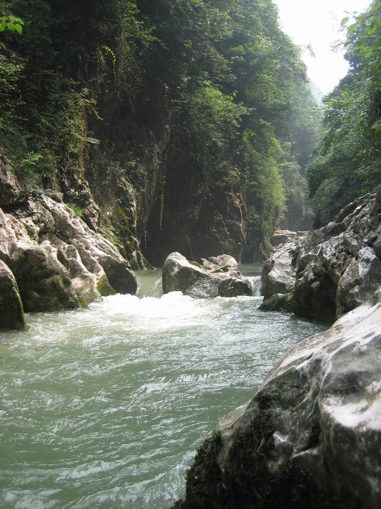 20076422342641039.jpg
