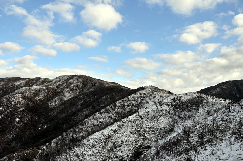 DSC_5452.jpg