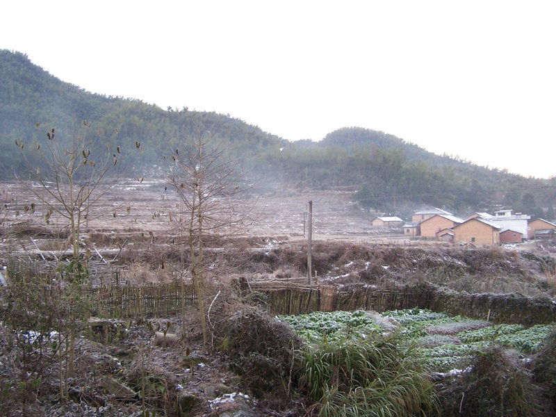 100_4987.JPG