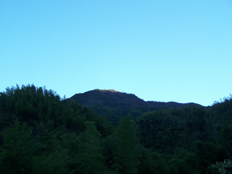 100_5014.JPG