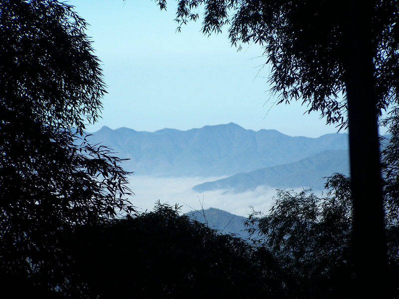 100_5049.JPG