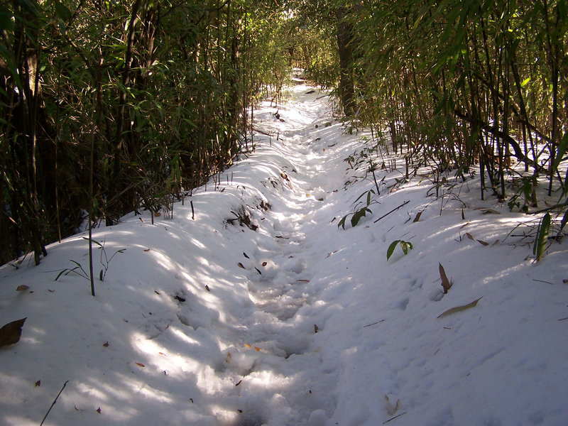 100_5062.JPG