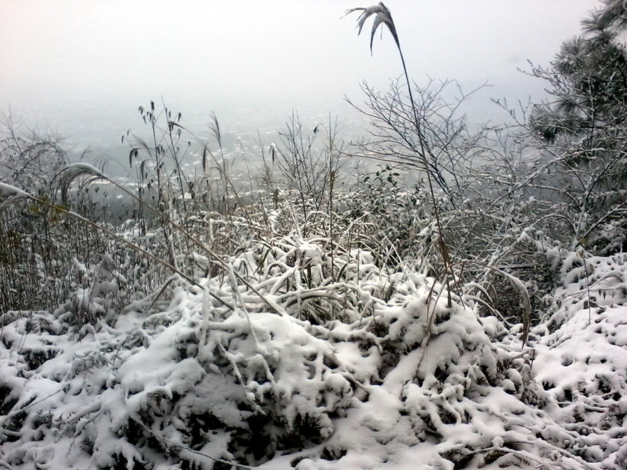 ��Ƭ0975.jpg