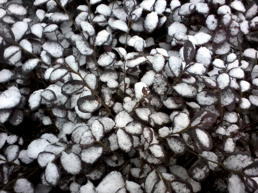��Ƭ0939.jpg