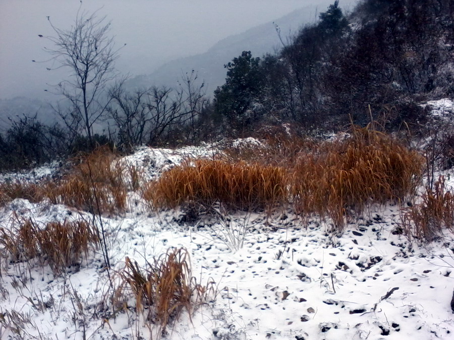 ��Ƭ0955.jpg