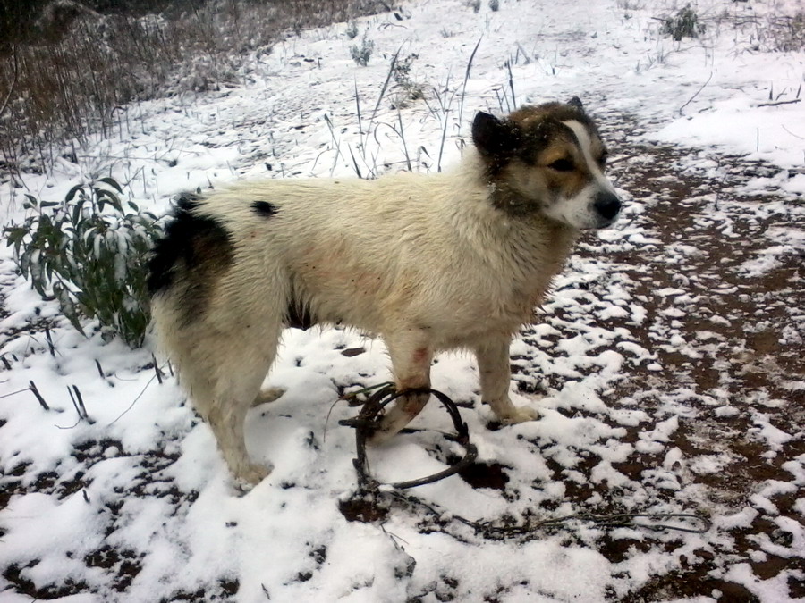 ��Ƭ0970.jpg