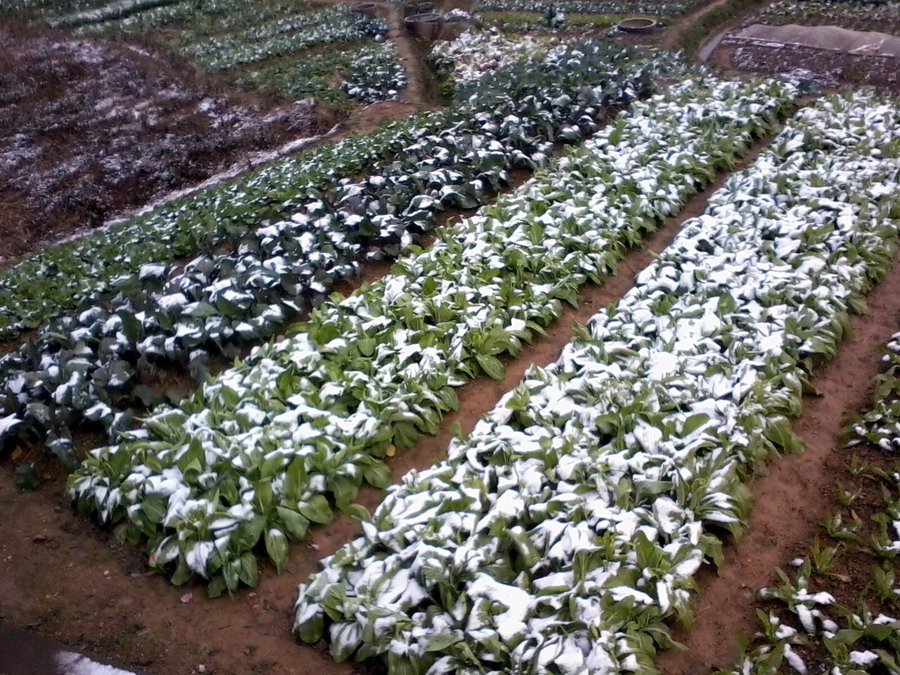 ��Ƭ0992.jpg