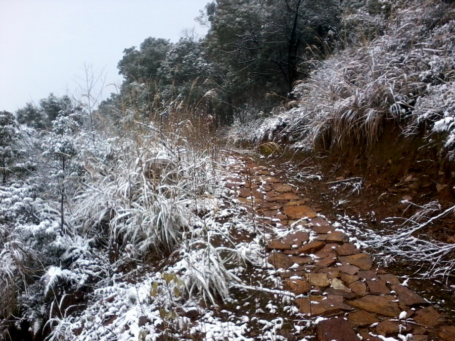 ��Ƭ0976.jpg