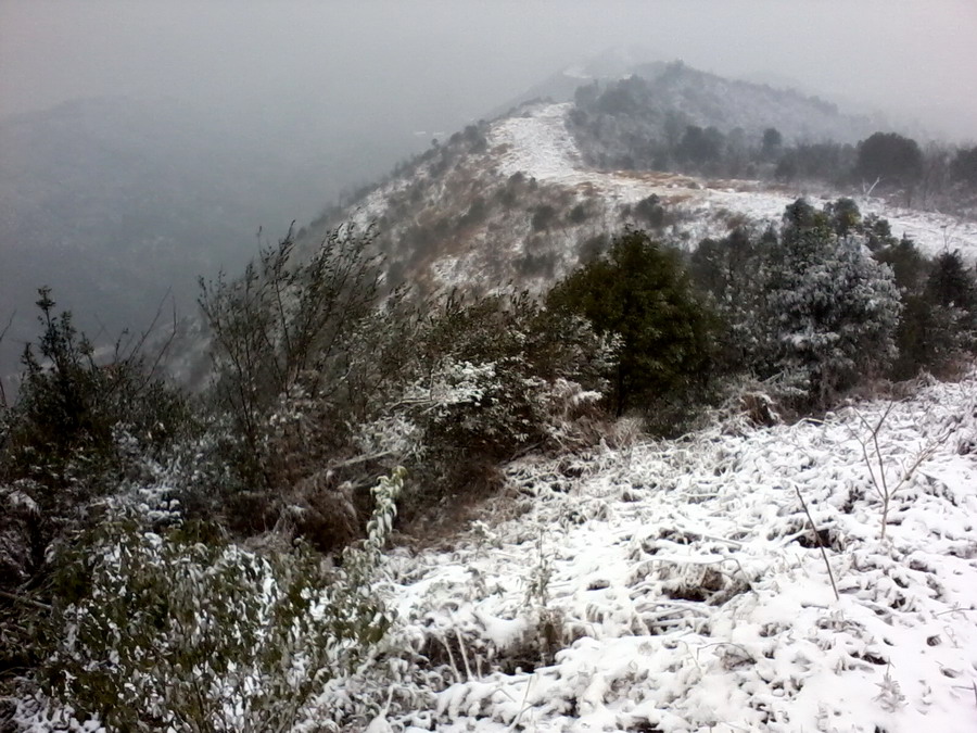 ��Ƭ0960.jpg
