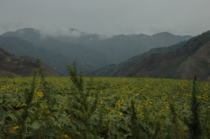 DSC_5416_������С.JPG