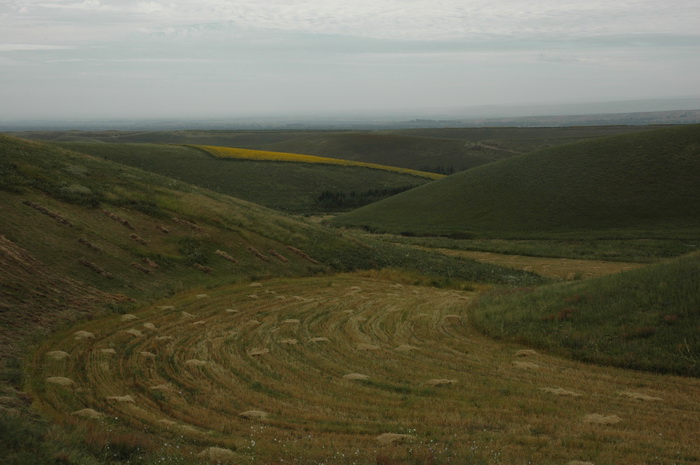 DSC_5584_������С.JPG