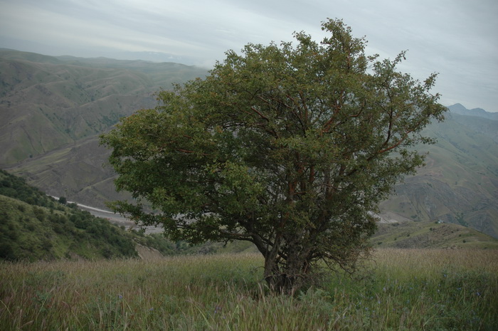 DSC_5863_������С.JPG