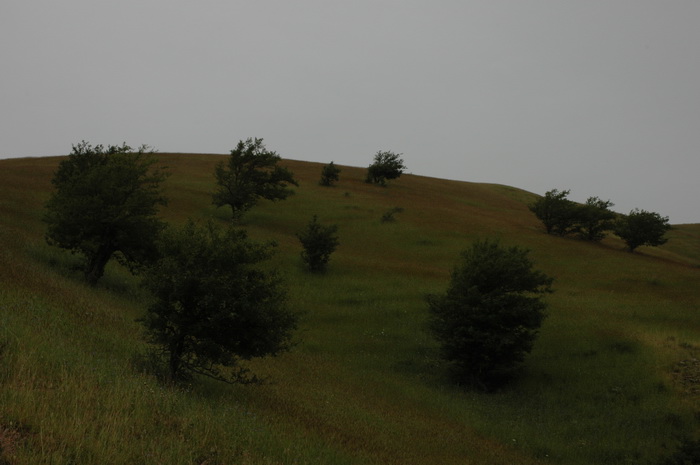 DSC_5924_������С.JPG