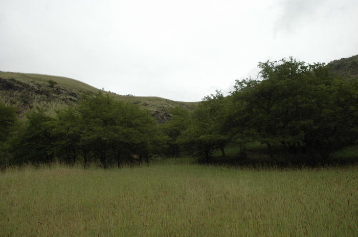 DSC_6043_������С.JPG