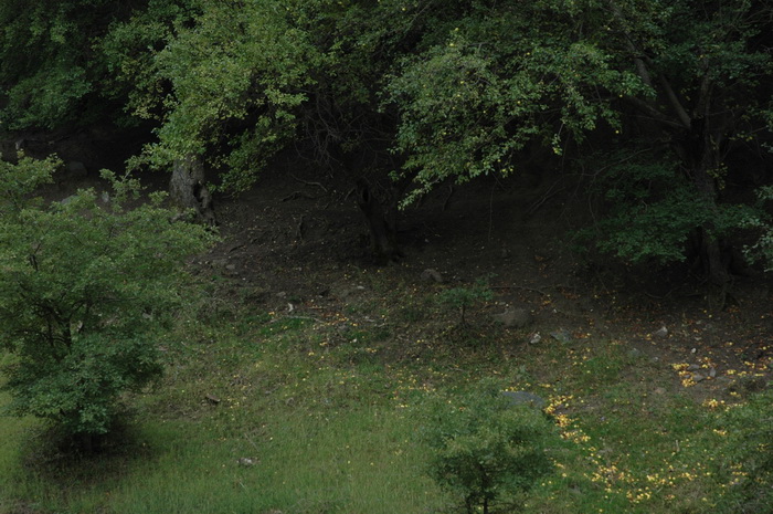 DSC_6054_������С.JPG