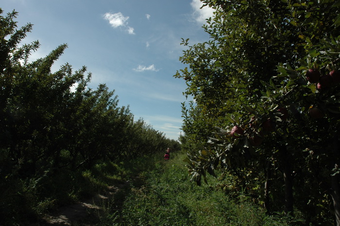 DSC_6294_������С.JPG