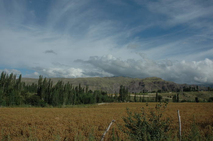 DSC_6234_������С.JPG