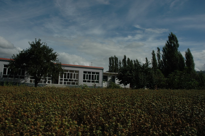 DSC_6260_������С.JPG