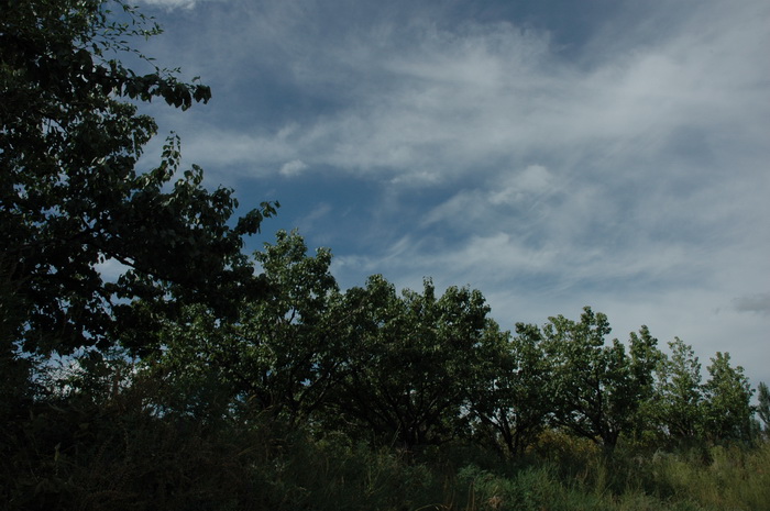 DSC_6382_������С.JPG