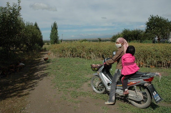 DSC_6397_������С.JPG
