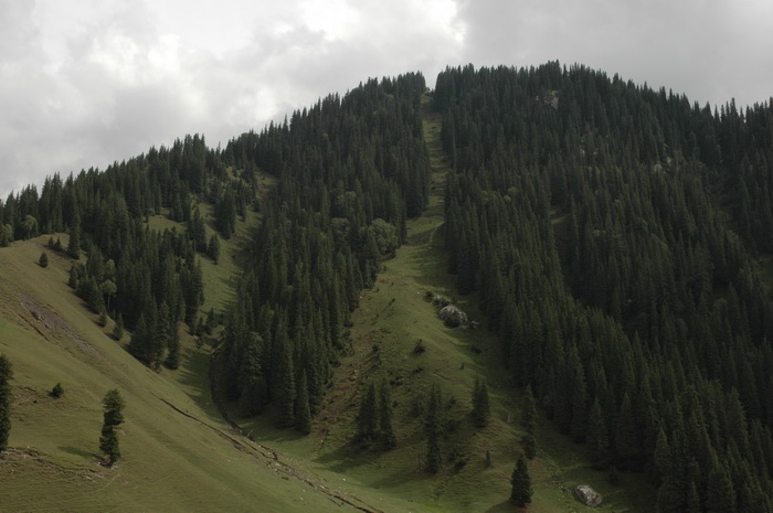 DSC_6441_������С.JPG
