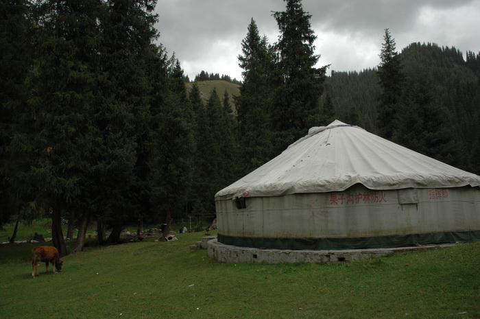 DSC_6469_������С.JPG