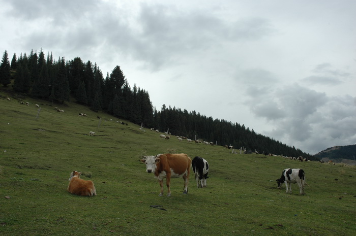 DSC_6599_������С.JPG