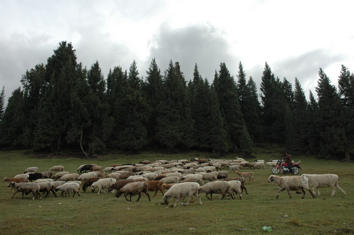 DSC_6668_������С.jpg