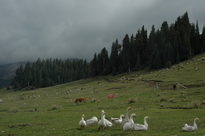 DSC_6710_������С.JPG