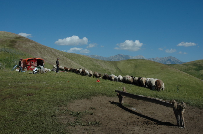 DSC_7401_������С.JPG